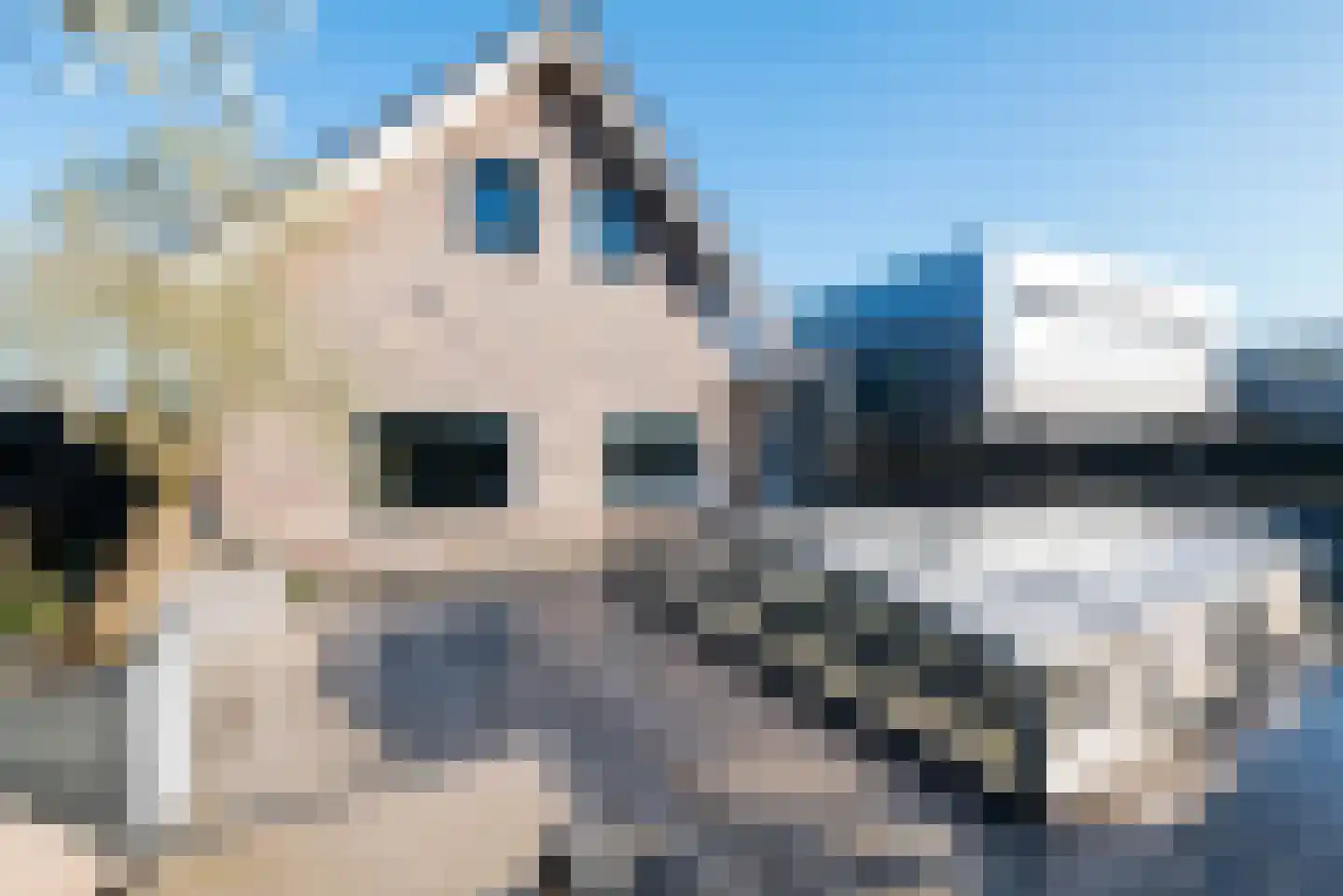 St. Victorstraat 49 Waddinxveen thumbnail 34