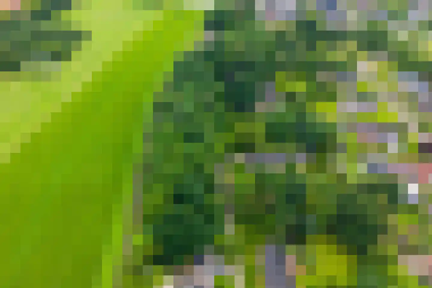 St. Vitusholt 2e laan Winschoten thumbnail 4