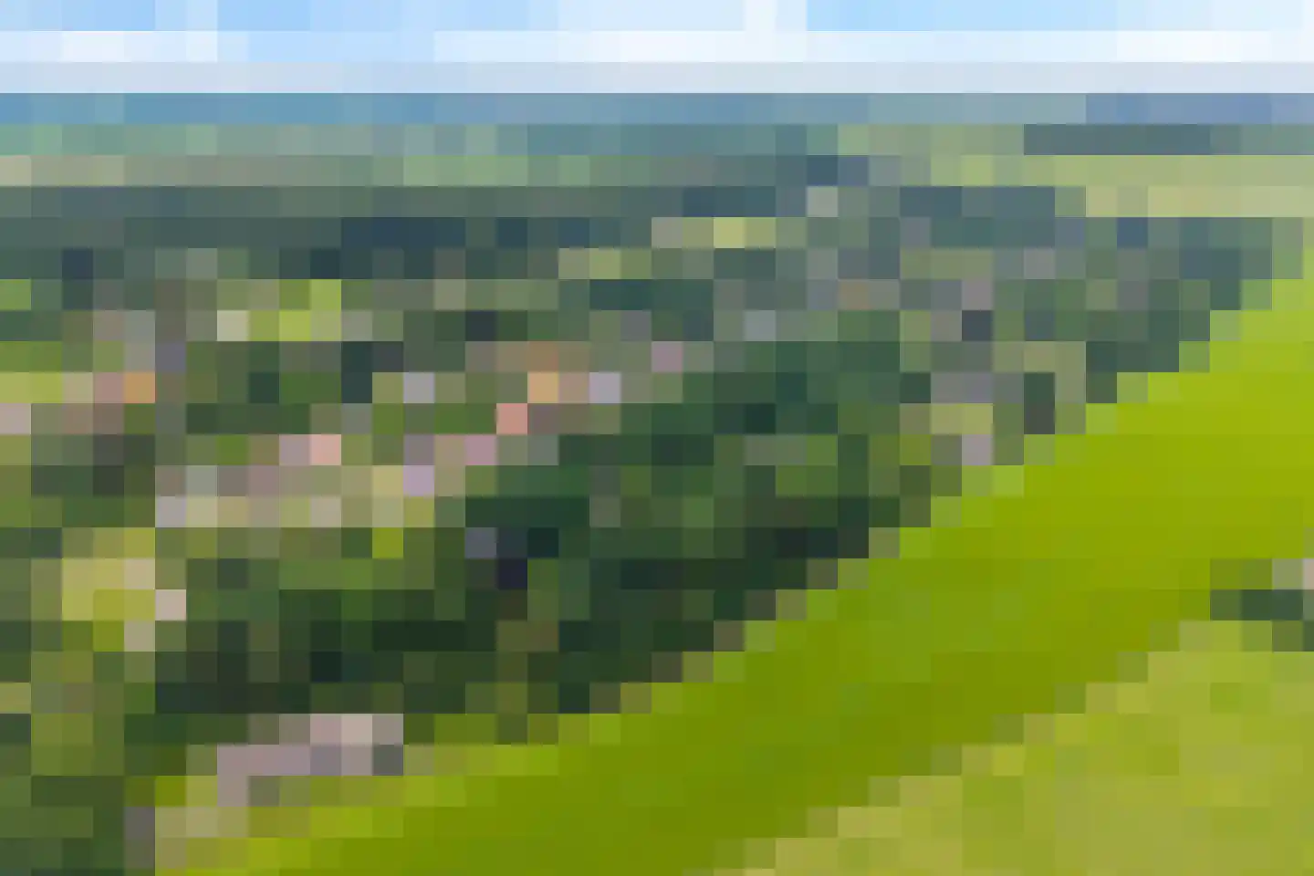 St. Vitusholt 2e laan Winschoten thumbnail 5