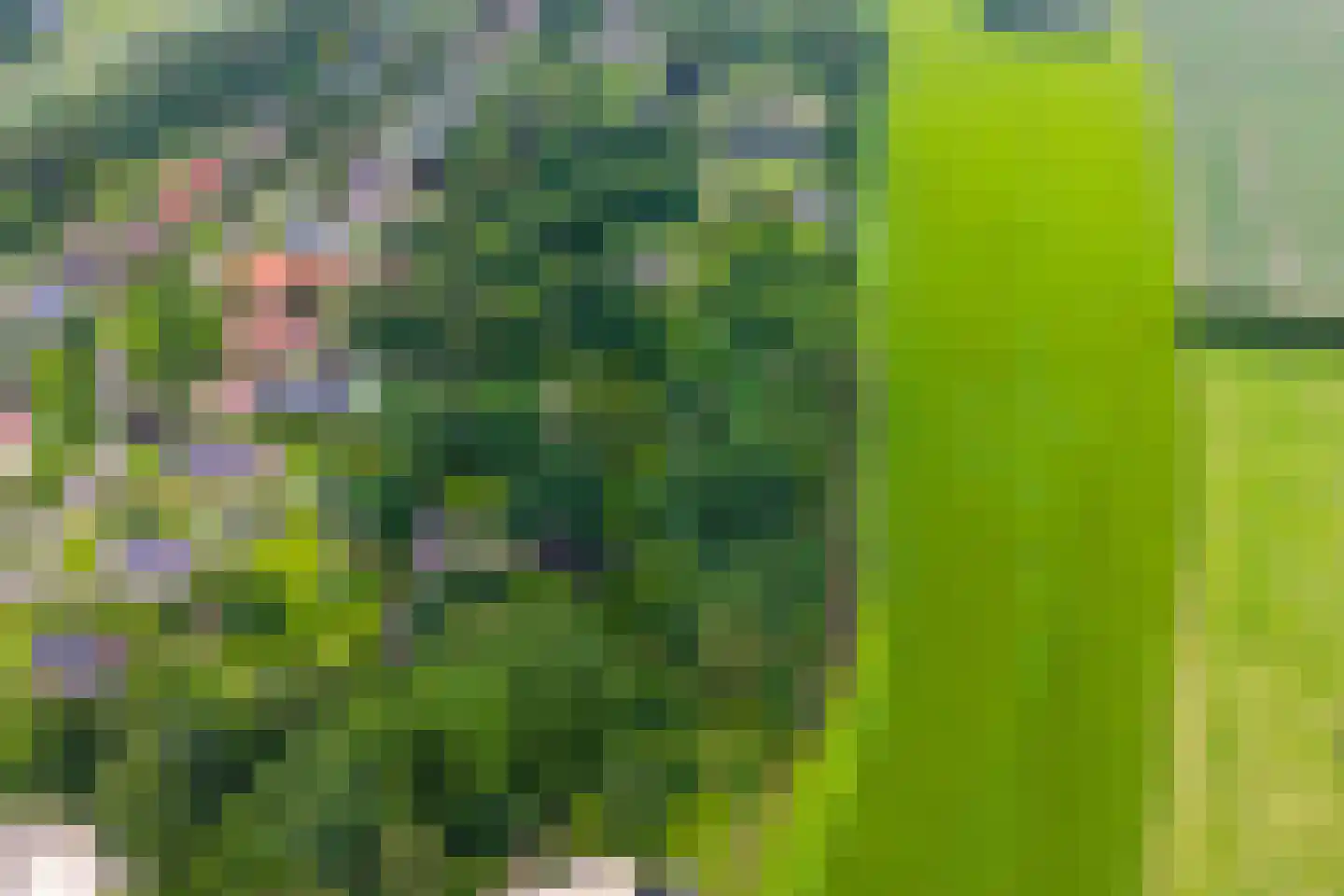 St. Vitusholt 2e laan Winschoten thumbnail 6