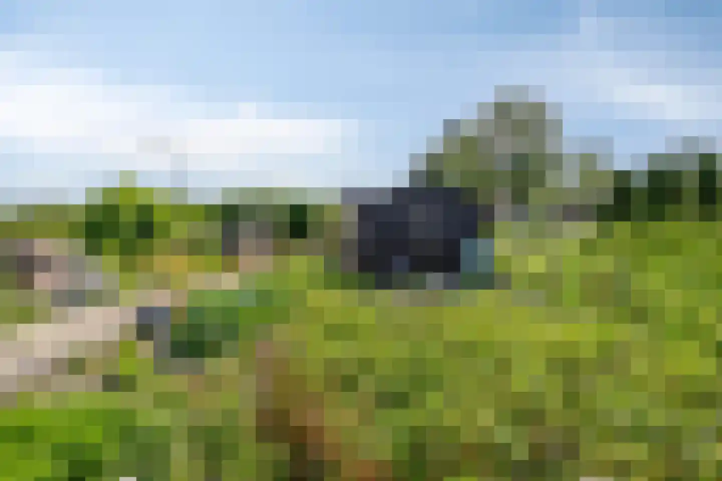 St. Vitusholt 4e laan 10 Winschoten thumbnail 36
