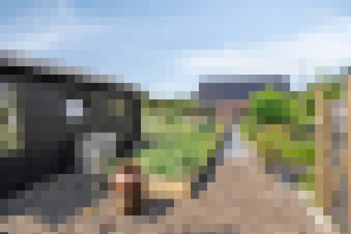 St. Vitusholt 4e laan 10 Winschoten thumbnail 38