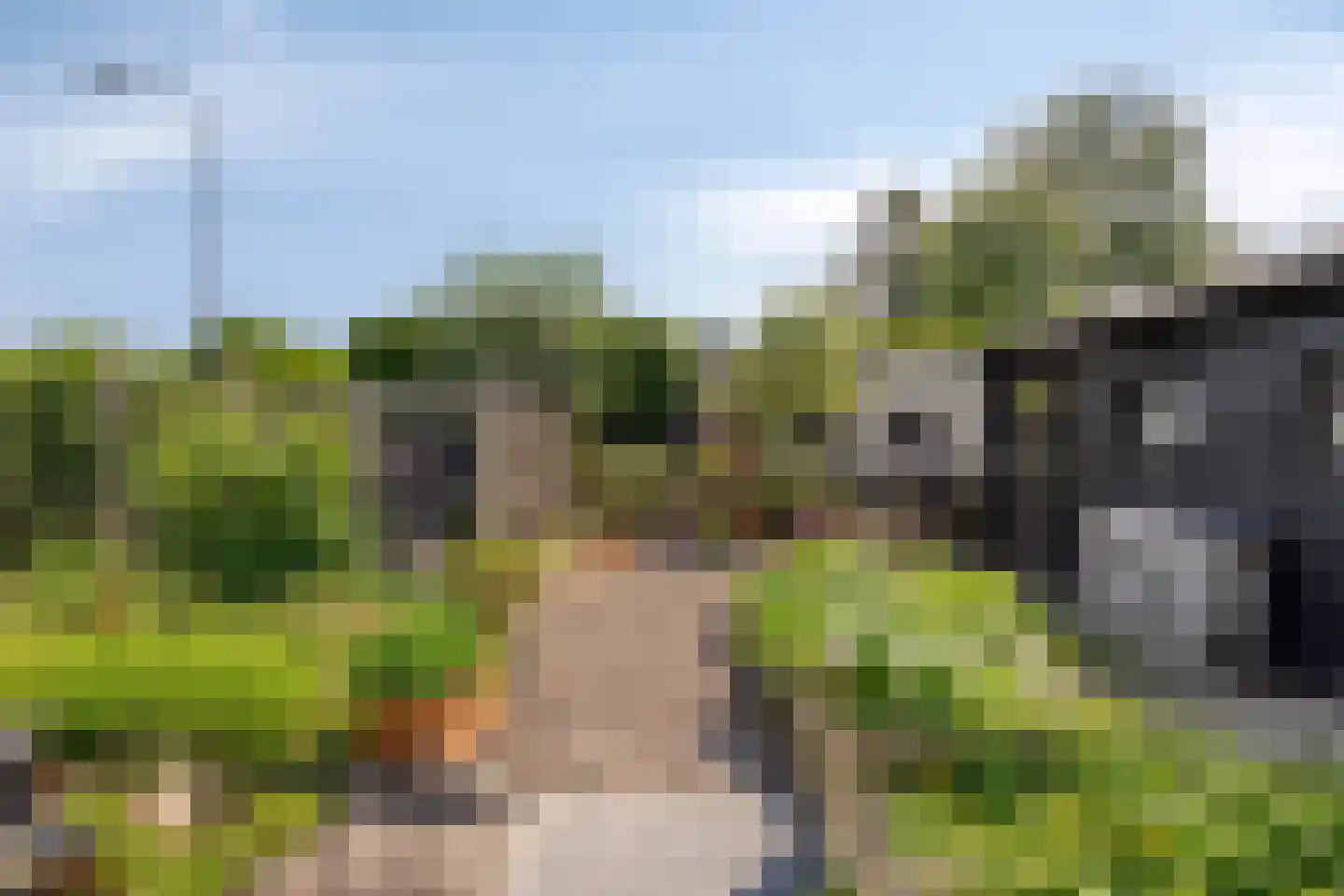 St. Vitusholt 4e laan 10 Winschoten thumbnail 39