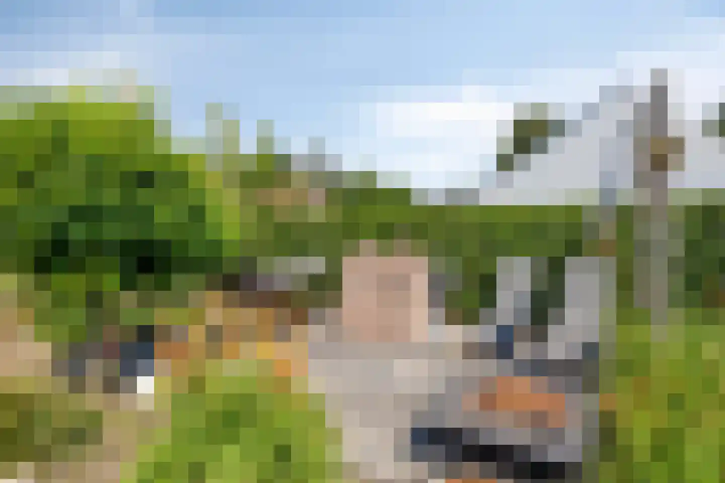 St. Vitusholt 4e laan 10 Winschoten thumbnail 40