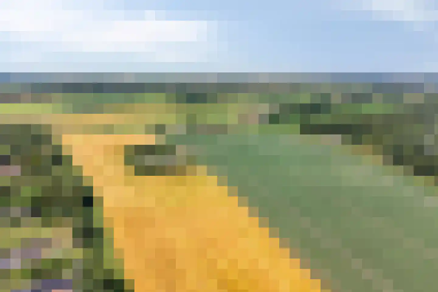 St. Vitusholt 4e laan 10 Winschoten thumbnail 43