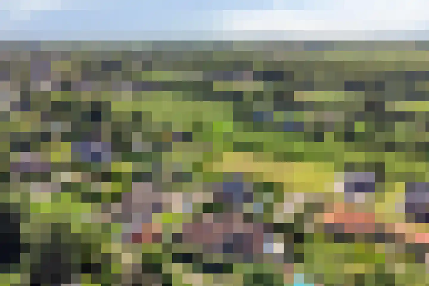 St. Vitusholt 4e laan 10 Winschoten thumbnail 6