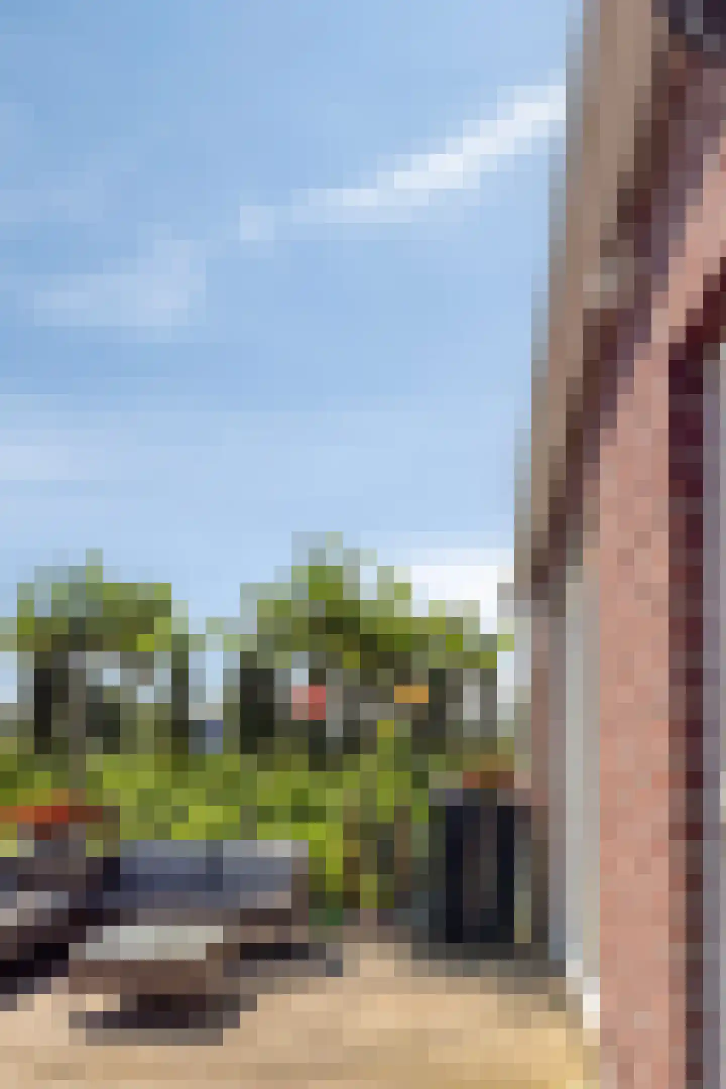 St. Vitusholt 4e laan 10 Winschoten thumbnail 9