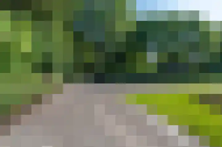 St. Vitusholt 7e laan 15 A Winschoten thumbnail 10