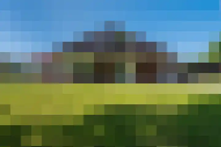 St. Vitusholt 7e laan 15 A Winschoten thumbnail 11