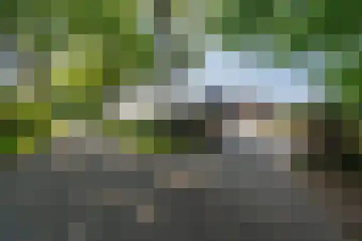 St. Vitusholt 7e laan 15 A Winschoten thumbnail 6