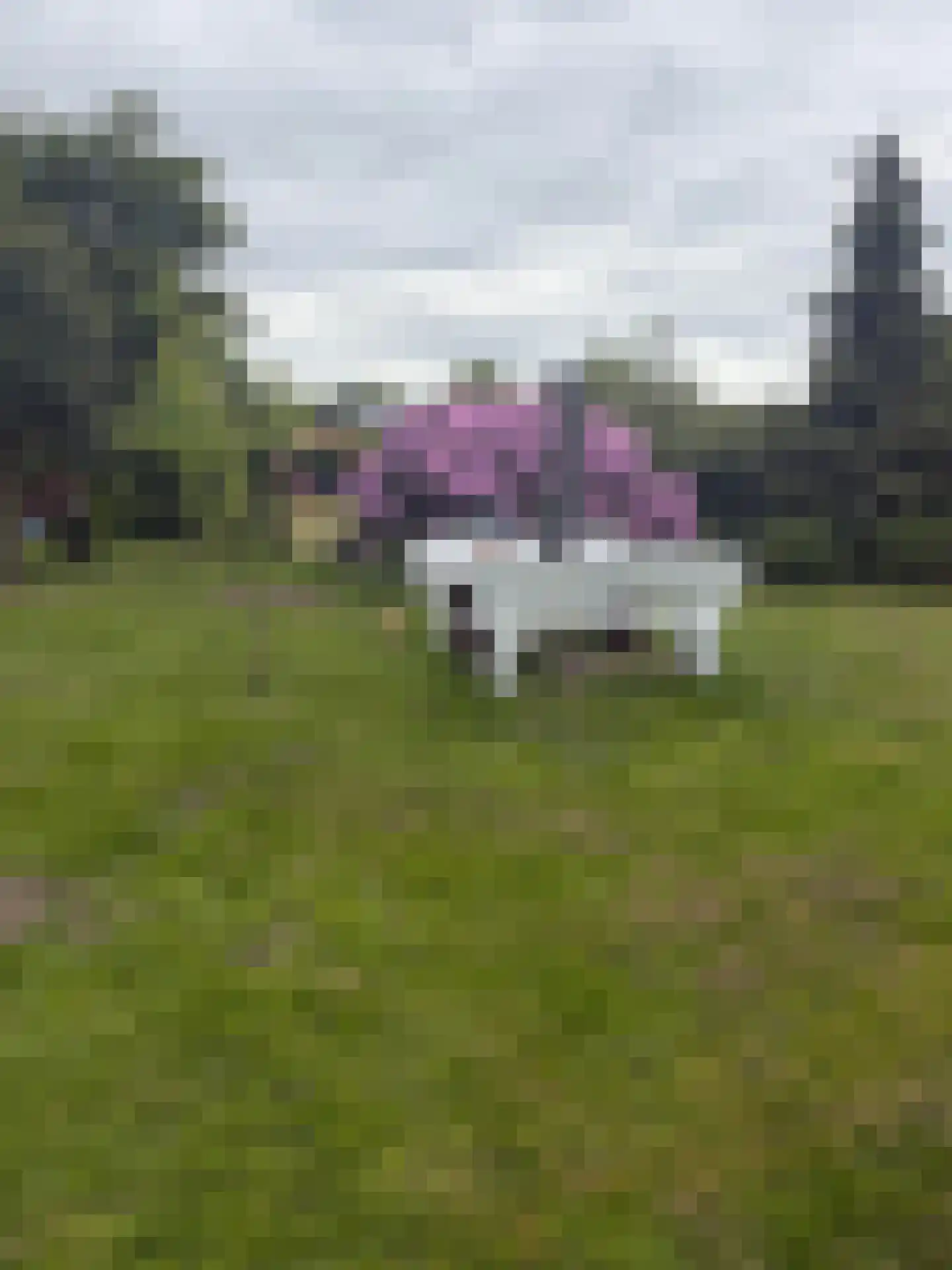 St. Vitusholt 7e laan 9 Winschoten thumbnail 27