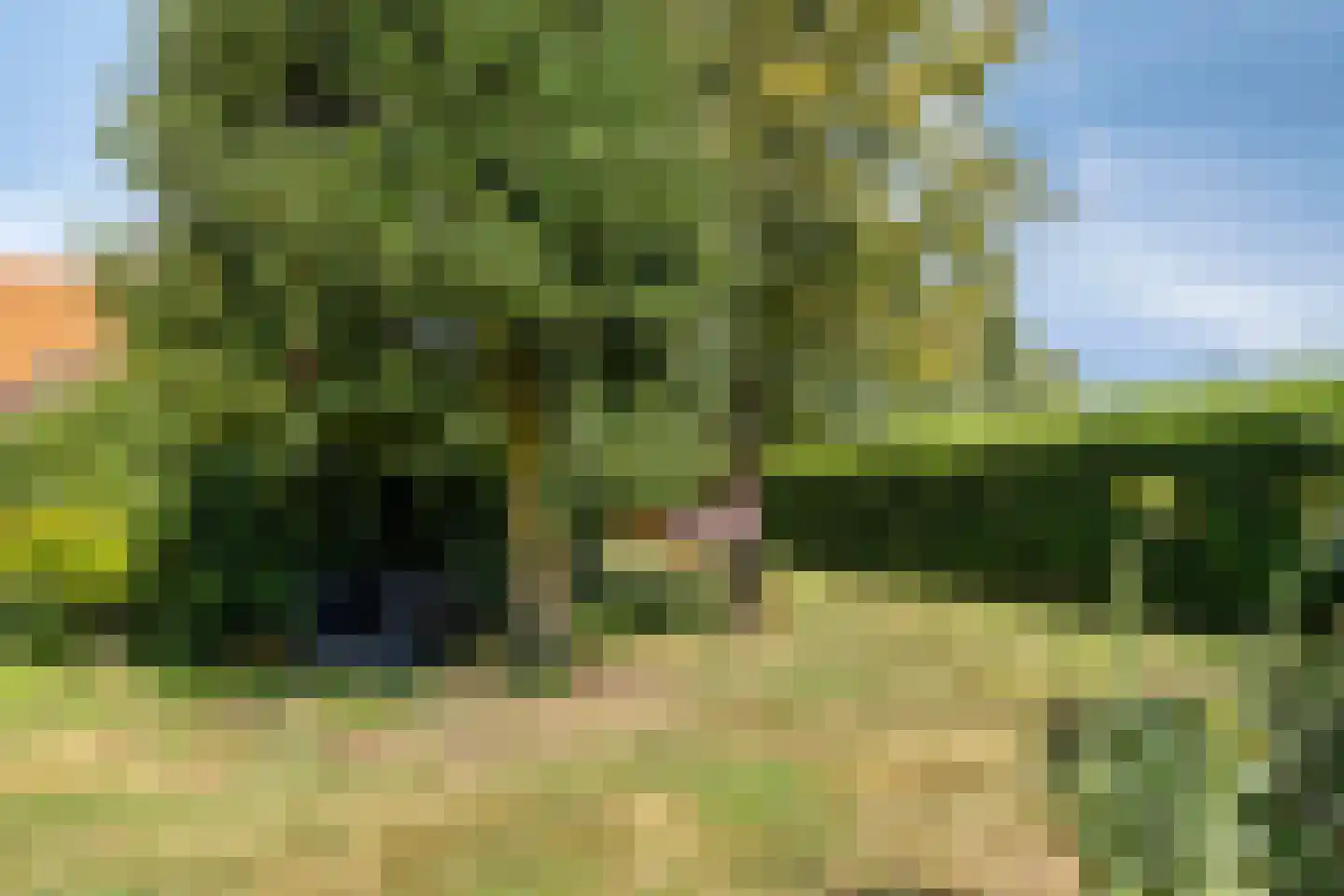 St. Vitusholt 7e laan 9 Winschoten thumbnail 31