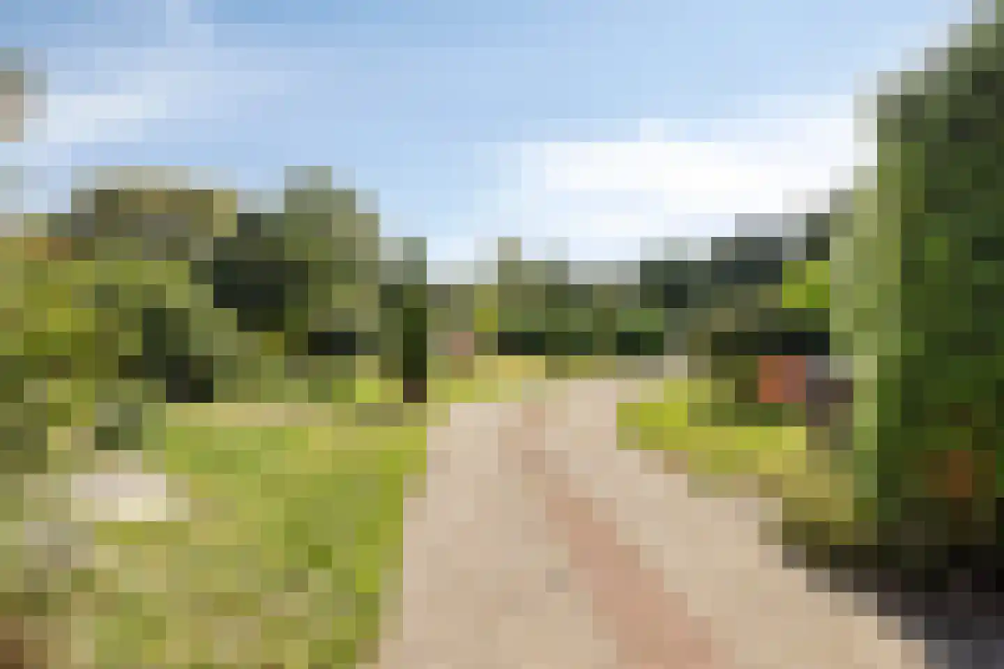 St. Vitusholt 7e laan 9 Winschoten thumbnail 33