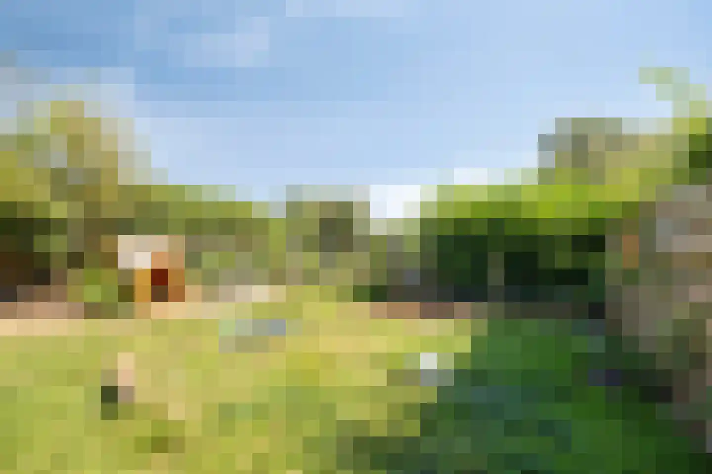 St. Vitusholt 7e laan 9 Winschoten thumbnail 38