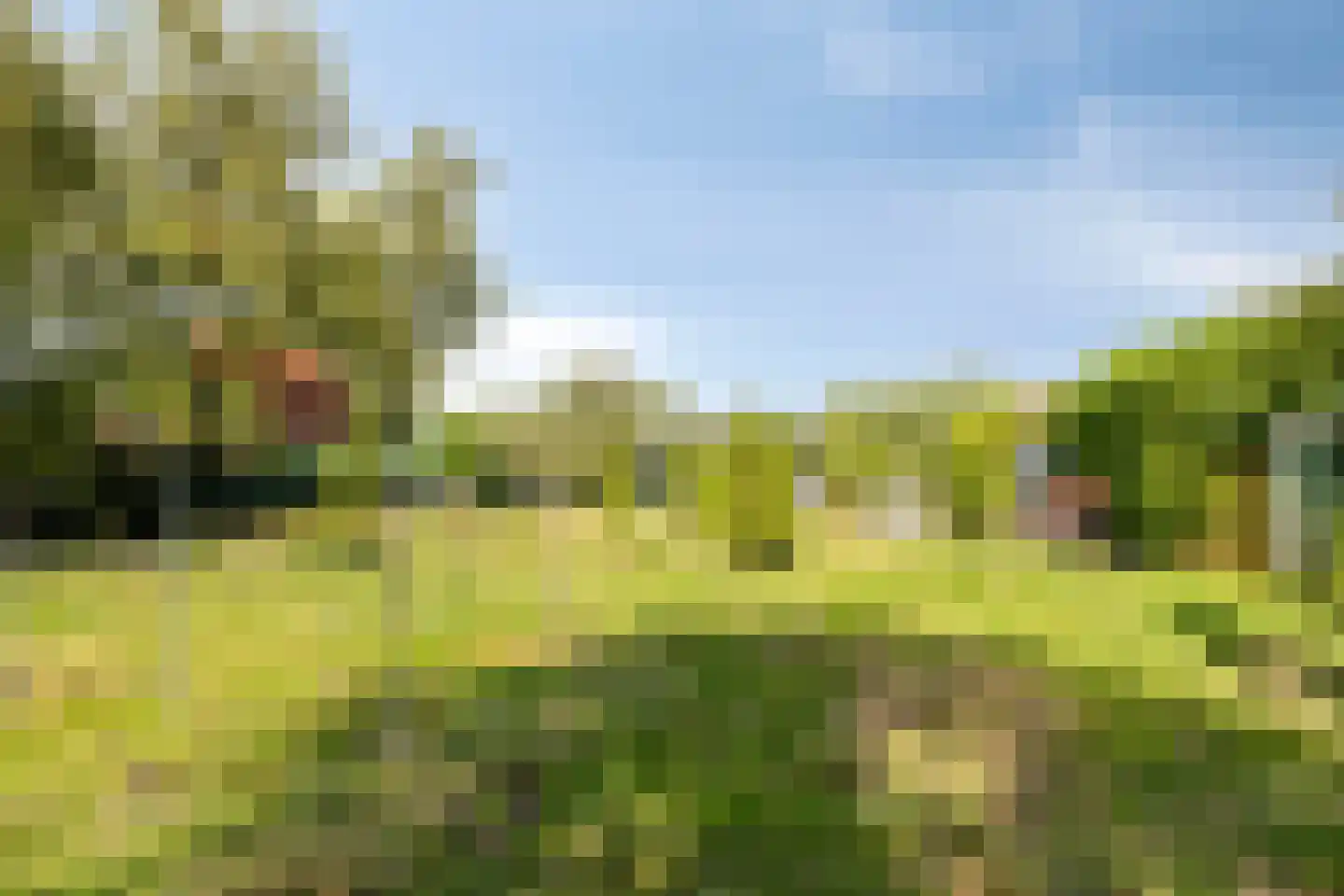 St. Vitusholt 7e laan 9 Winschoten thumbnail 39