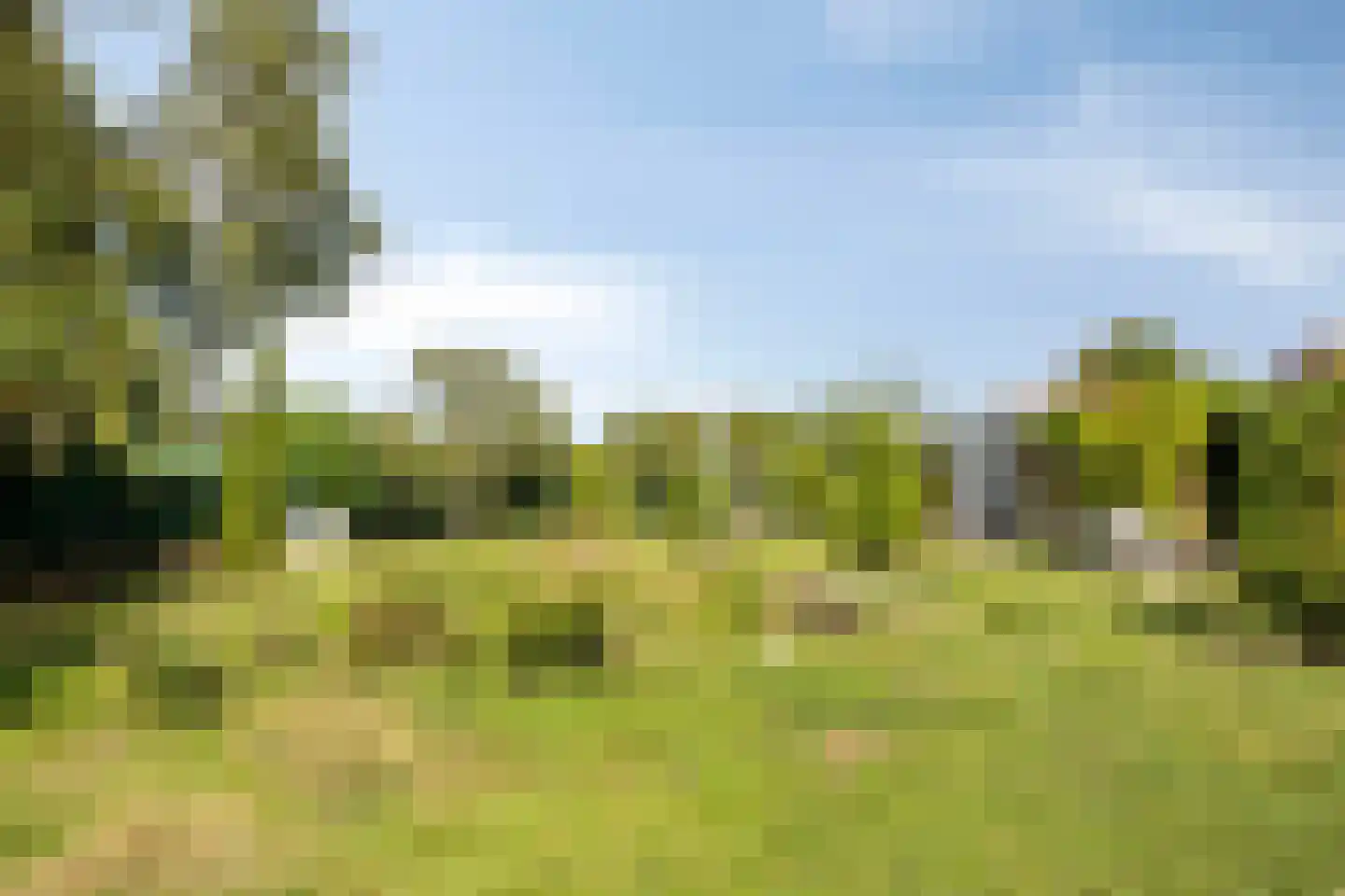 St. Vitusholt 7e laan 9 Winschoten thumbnail 40