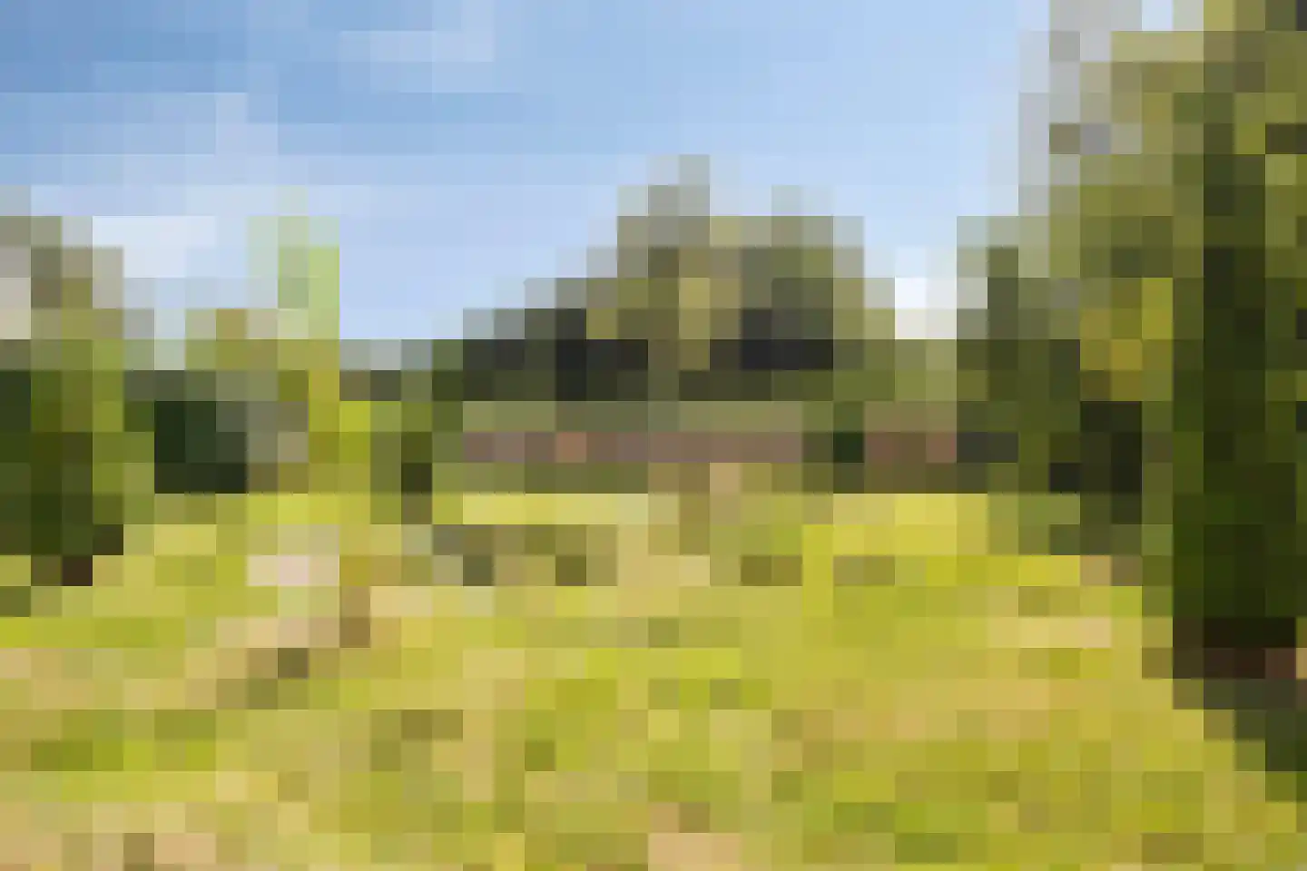 St. Vitusholt 7e laan 9 Winschoten thumbnail 41
