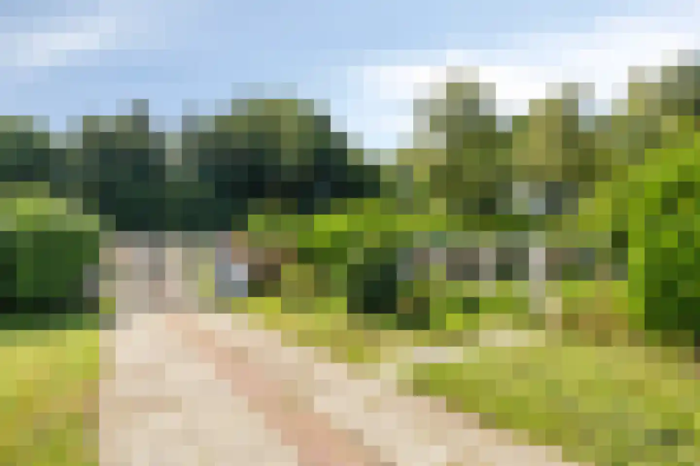 St. Vitusholt 7e laan 9 Winschoten thumbnail 42