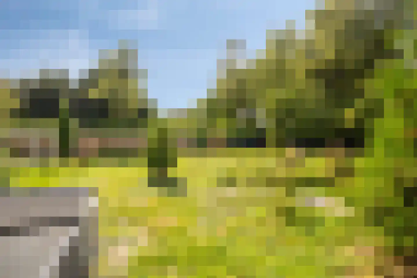 St. Vitusholt 7e laan 9 Winschoten thumbnail 43