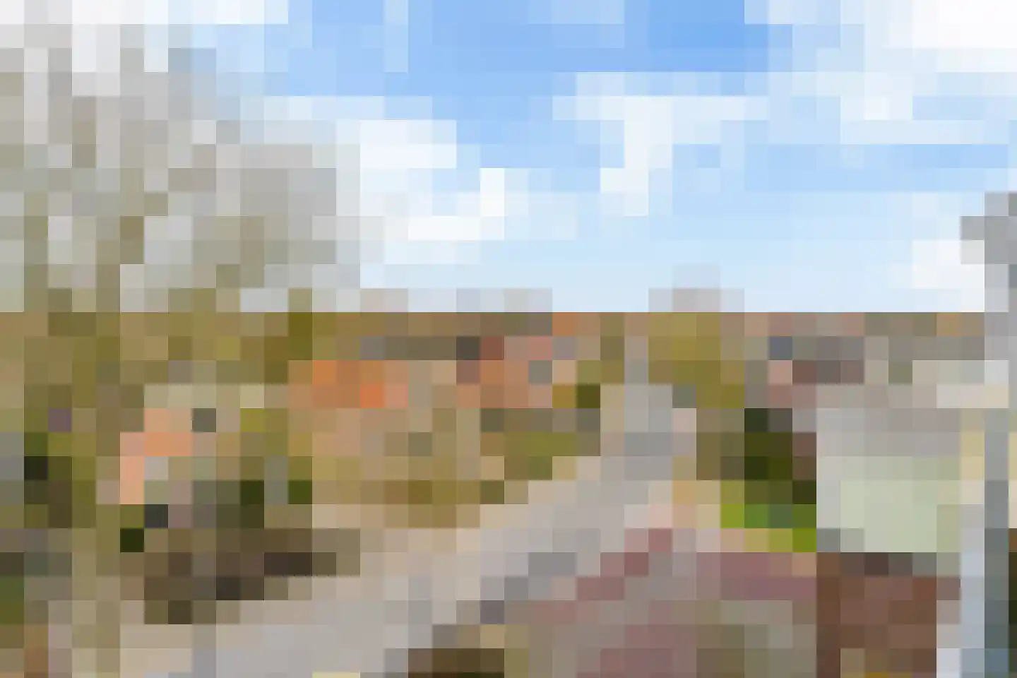 St. Vitusplein 67 Stiens thumbnail 19