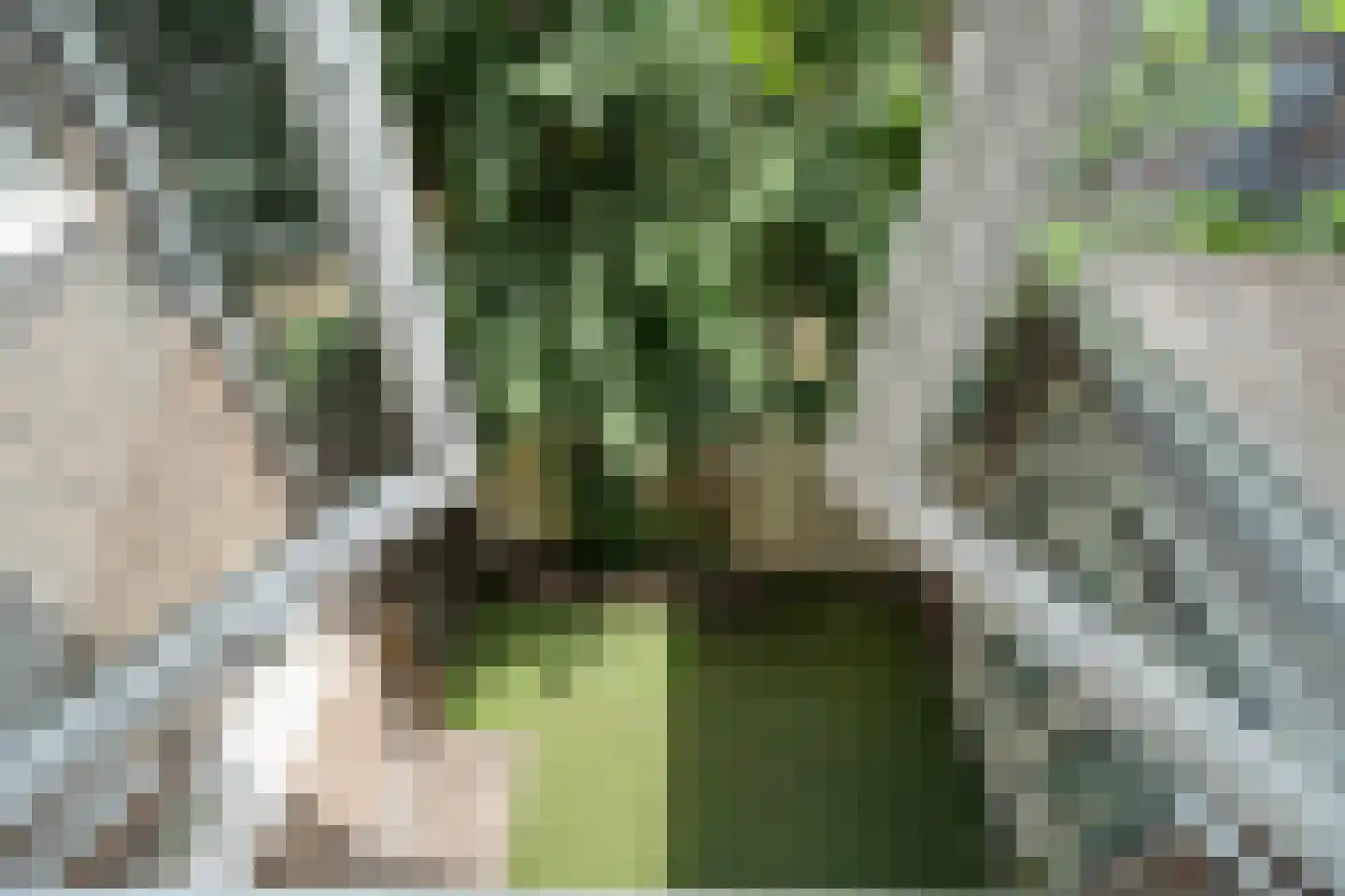 St. Vitusstraat 16 C Hilversum thumbnail 35