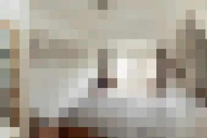 St. Vitusstraat 37 Hilversum thumbnail 14
