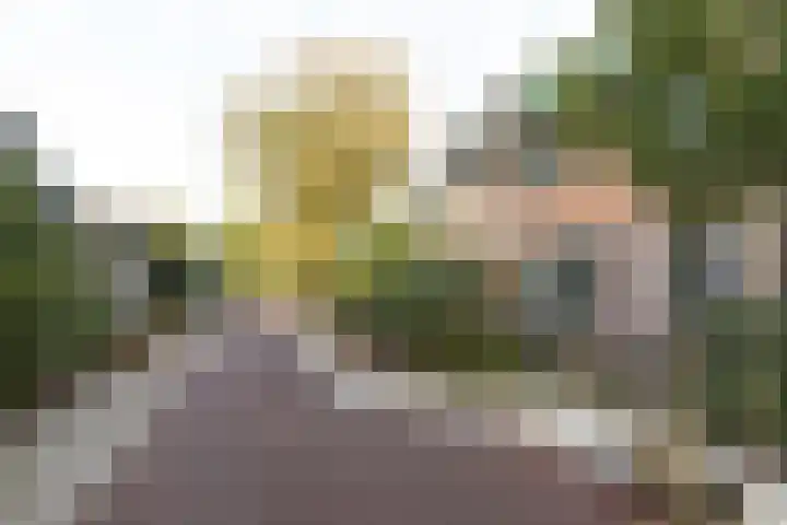 St. Vitusstraat 37 Hilversum thumbnail 26
