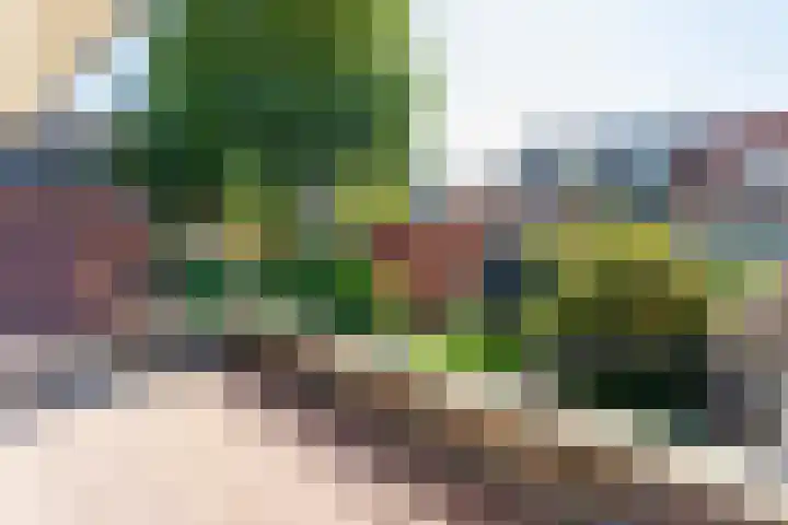 St. Vitusstraat 53 Naarden thumbnail 21