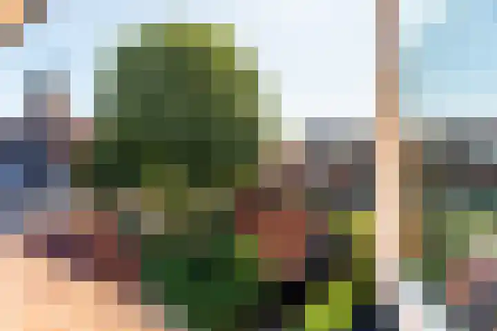 St. Vitusstraat 53 Naarden thumbnail 32