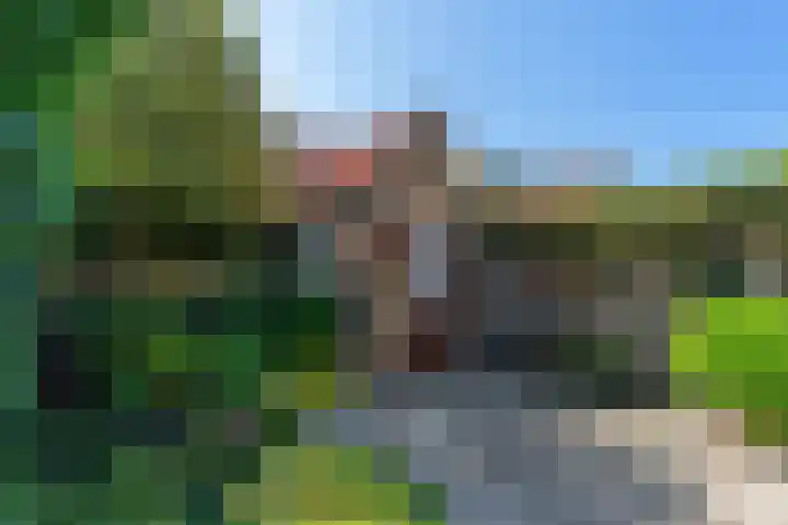 St. Vitusstraat 53 Naarden thumbnail 38