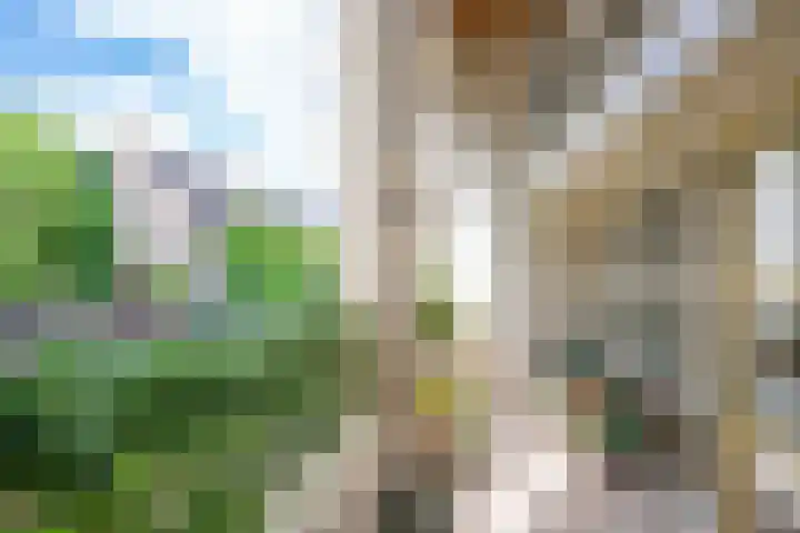 St. Walburg 2 01 Tiel thumbnail 46