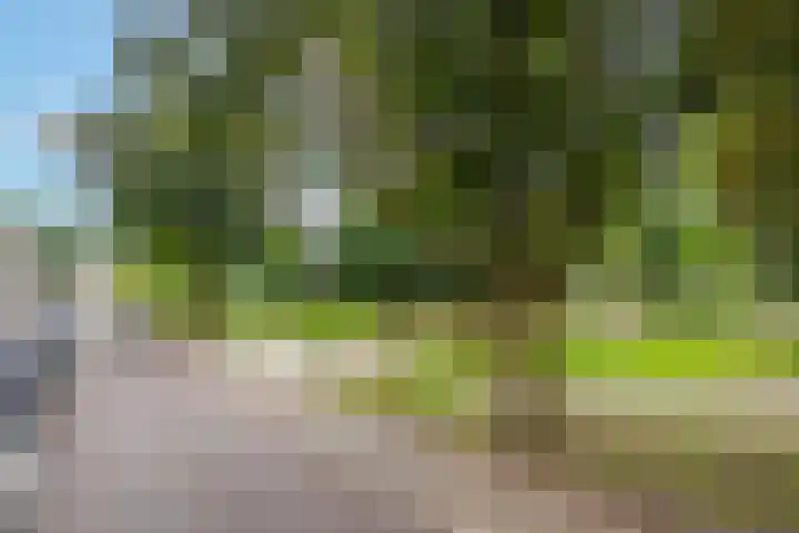 St. Walburg 2 01 Tiel thumbnail 5