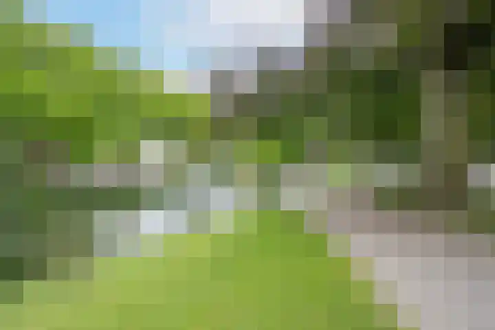 St. Walburg 2 01 Tiel thumbnail 6