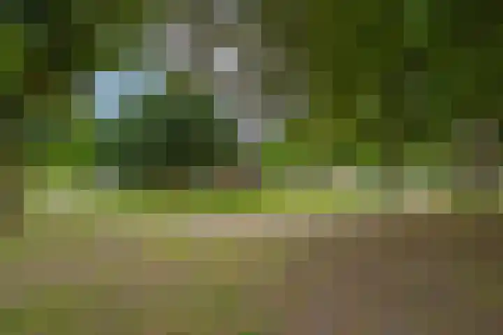 St. Walburg 2 01 Tiel thumbnail 75
