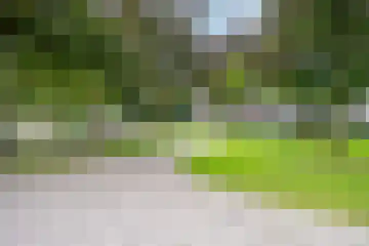 St. Walburg 2 01 Tiel thumbnail 79