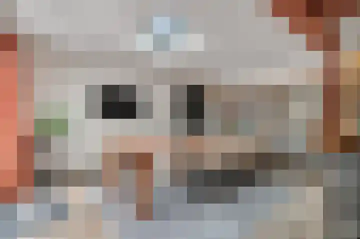 St. Walburgbinnensingel 4 Tiel thumbnail 10