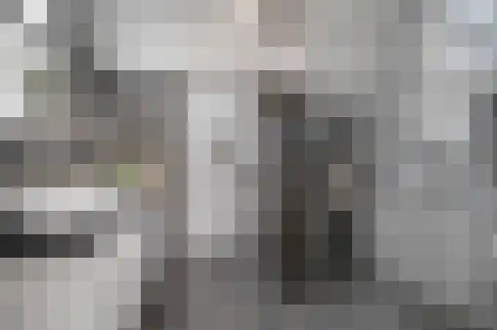 St. Walburgbinnensingel 4 Tiel thumbnail 12