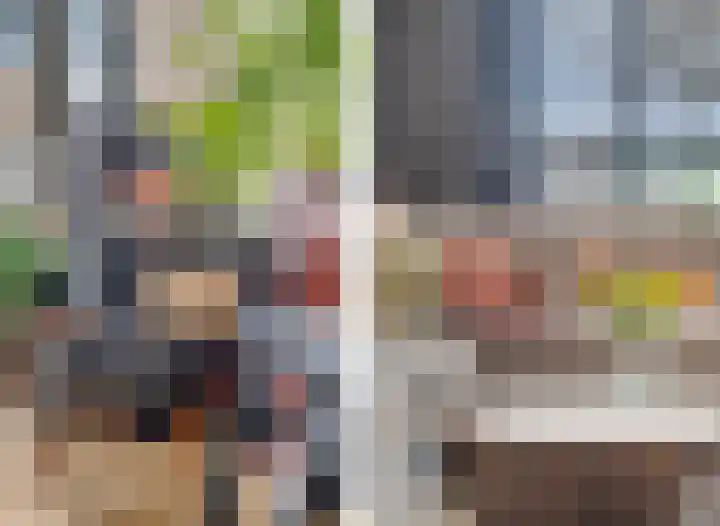 St. Walburgbinnensingel 4 Tiel thumbnail 24