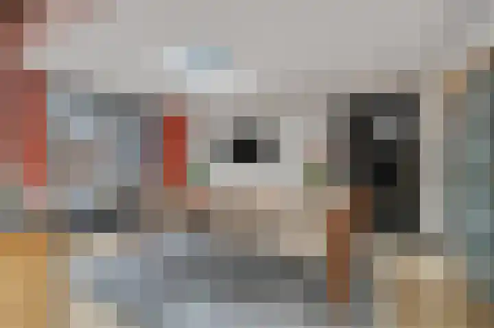 St. Walburgbinnensingel 4 Tiel thumbnail 27