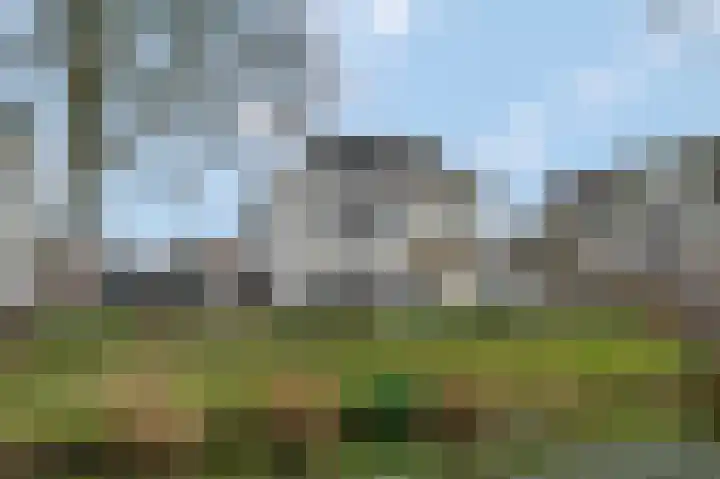 St. Walburgbinnensingel 4 Tiel thumbnail 32