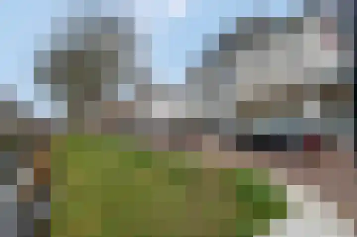 St. Walburgbinnensingel 4 Tiel thumbnail 35