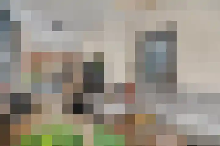 St. Walburgbinnensingel 4 Tiel thumbnail 7
