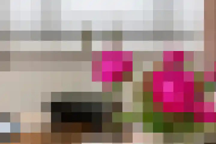 St. Walburgbuitensingel 17 Tiel thumbnail 18