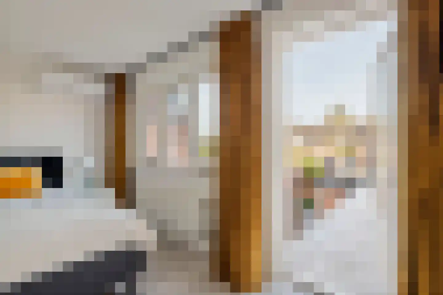 St. Walburgbuitensingel 42 Tiel thumbnail 31