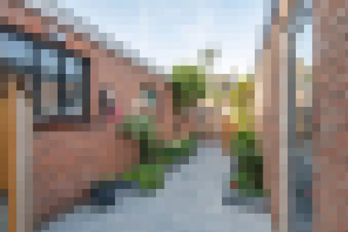 St. Walburgbuitensingel 42 Tiel thumbnail 34
