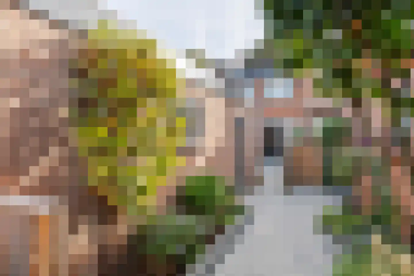 St. Walburgbuitensingel 42 Tiel thumbnail 35