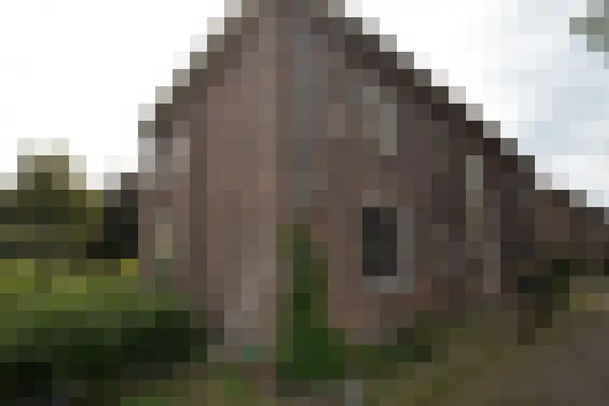 St. Walburgisplein 14 Arnhem thumbnail 5