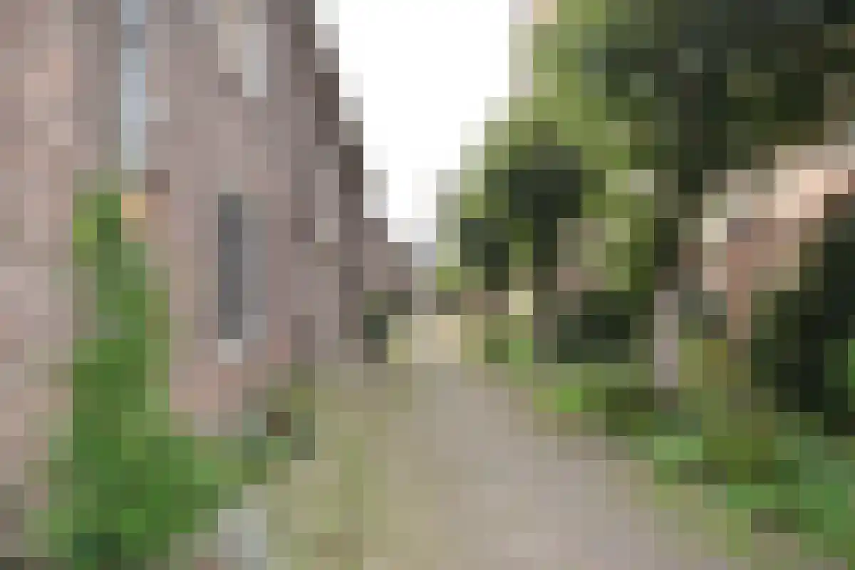 St. Walburgisplein 14 Arnhem thumbnail 6