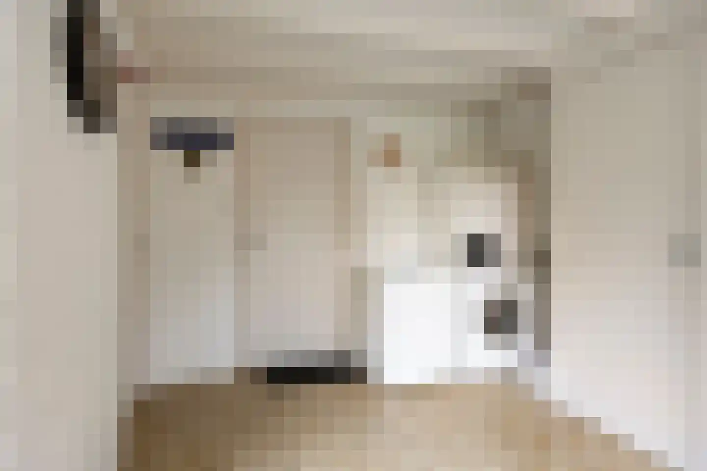 St. Wilbertstraat 11 Demen thumbnail 23