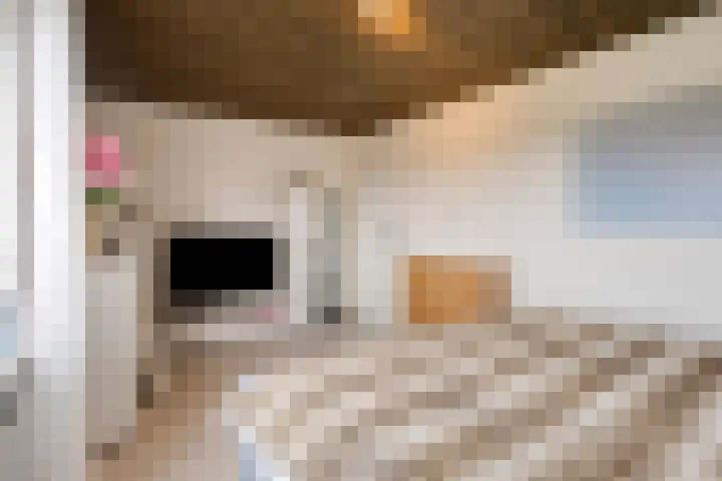 St. Wilbertstraat 20 Demen thumbnail 26